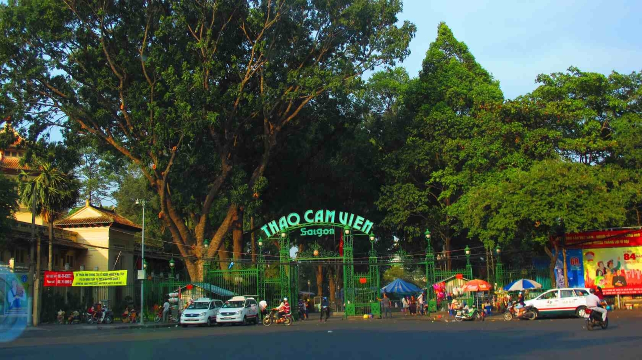 unique thing to do in district 1 hcmc